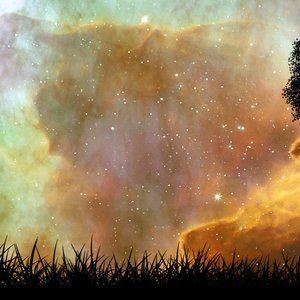 Meet your Posher, Dominique